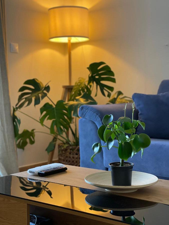 Cosy Apartment With Sea View Close To The Beach Nikiana Exteriér fotografie